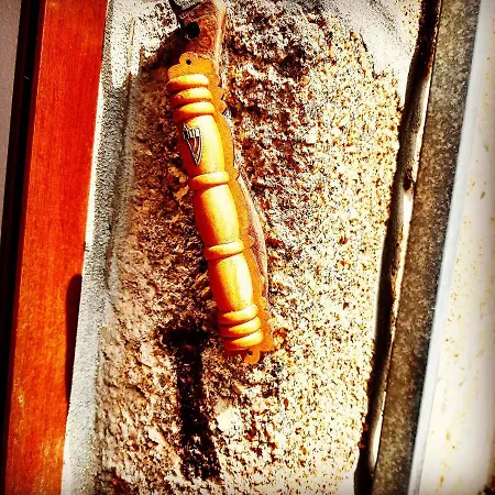 Casa Dr. Saba Διαμέρισμα