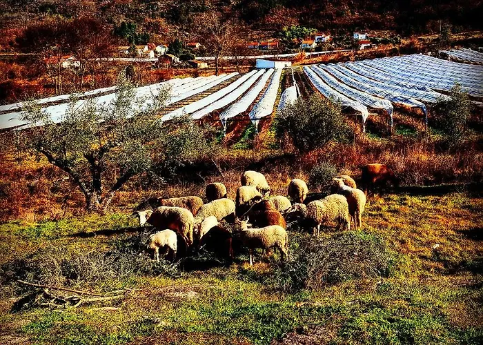 Apartamento Casa Dr. Saba *